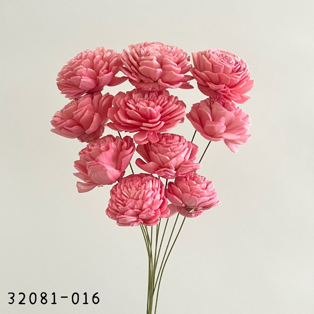 日本索拉玫瑰花(4cm) 32081-016