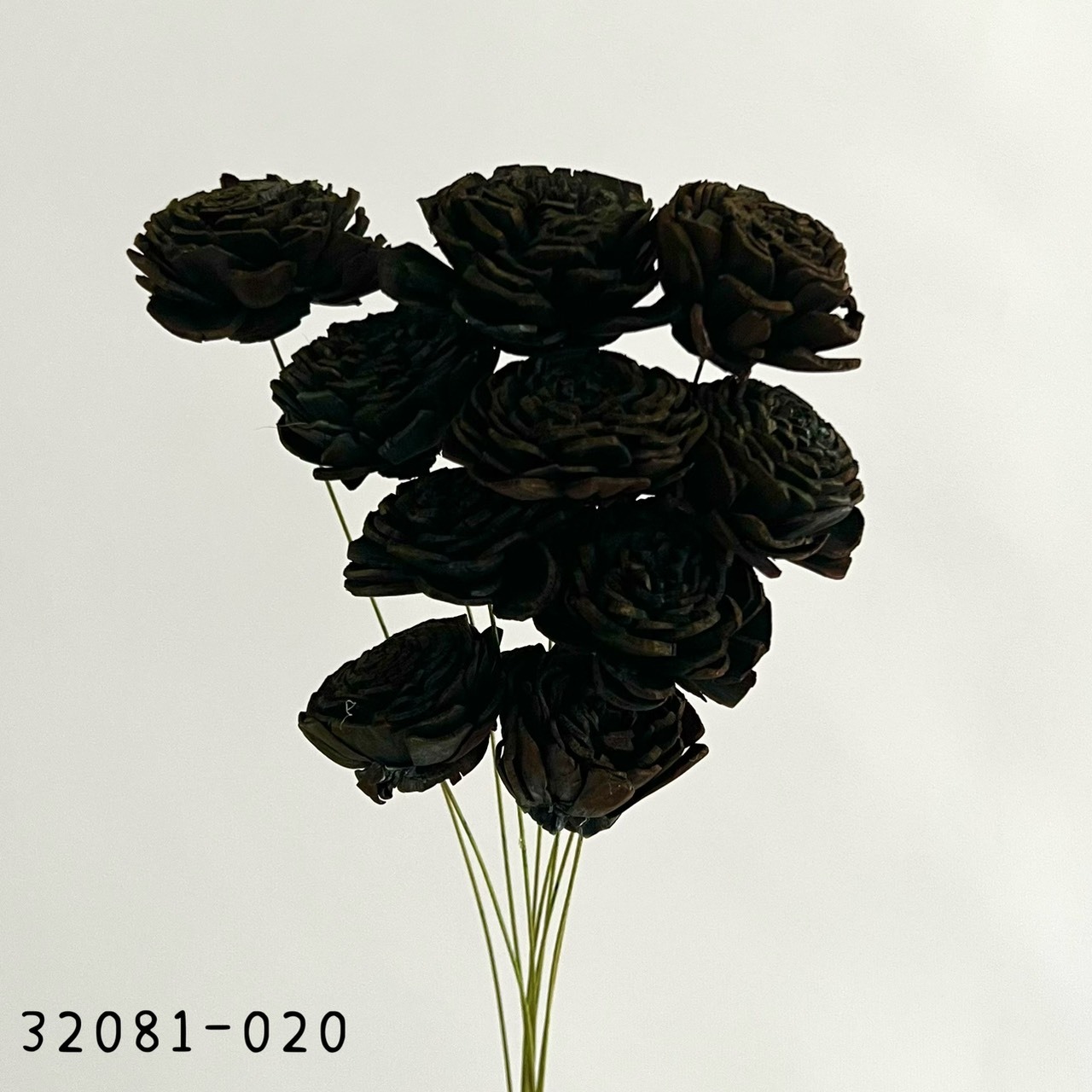 日本索拉玫瑰花(4cm) 32081-020