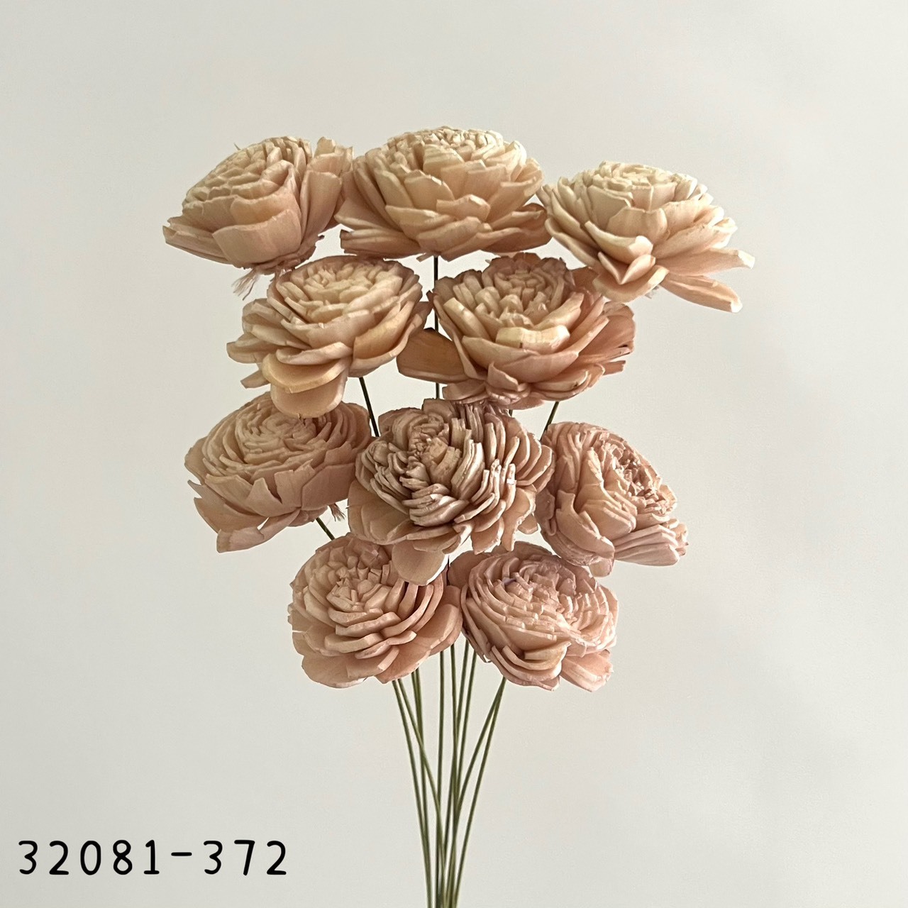 日本索拉玫瑰花 32081-372