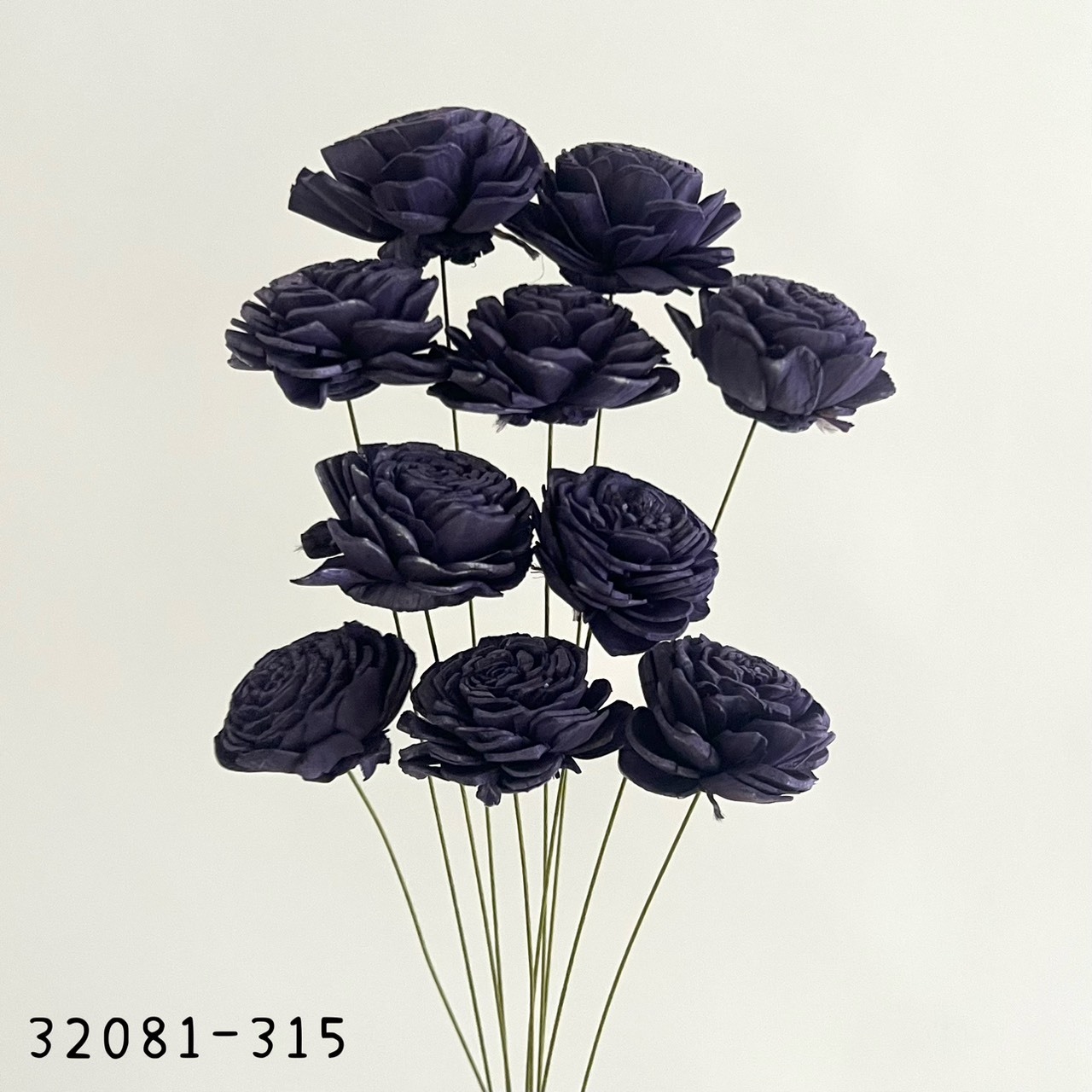 日本索拉玫瑰花 32081-315