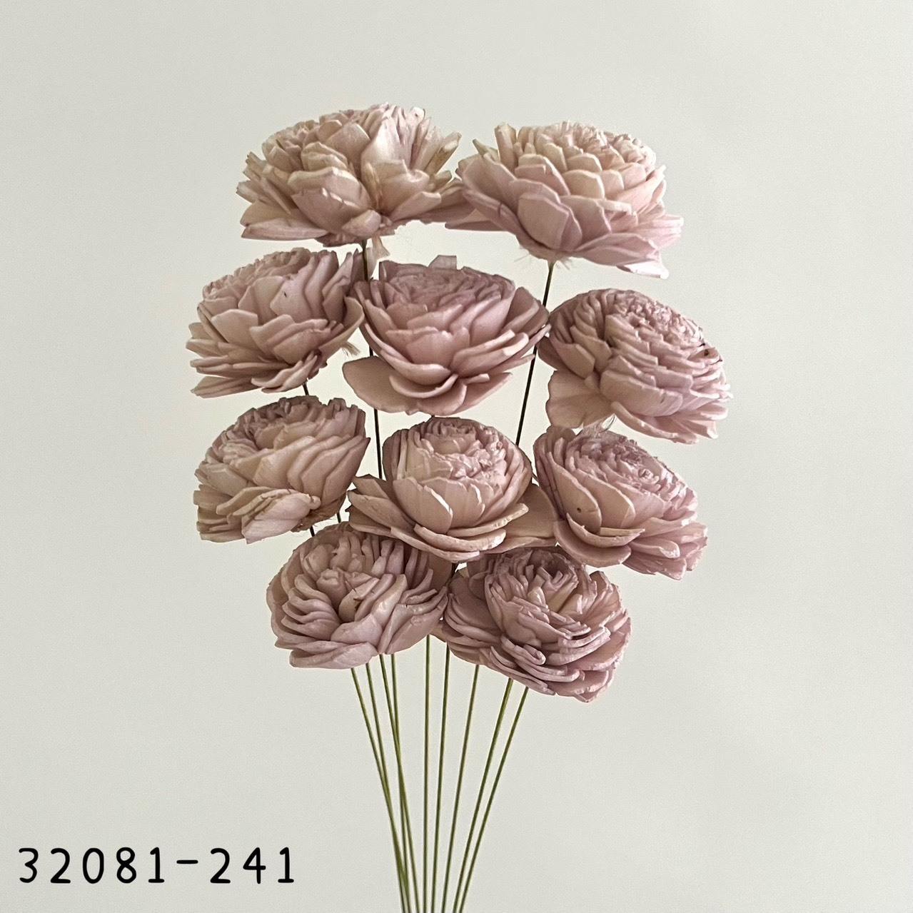 日本索拉玫瑰花 32081-241