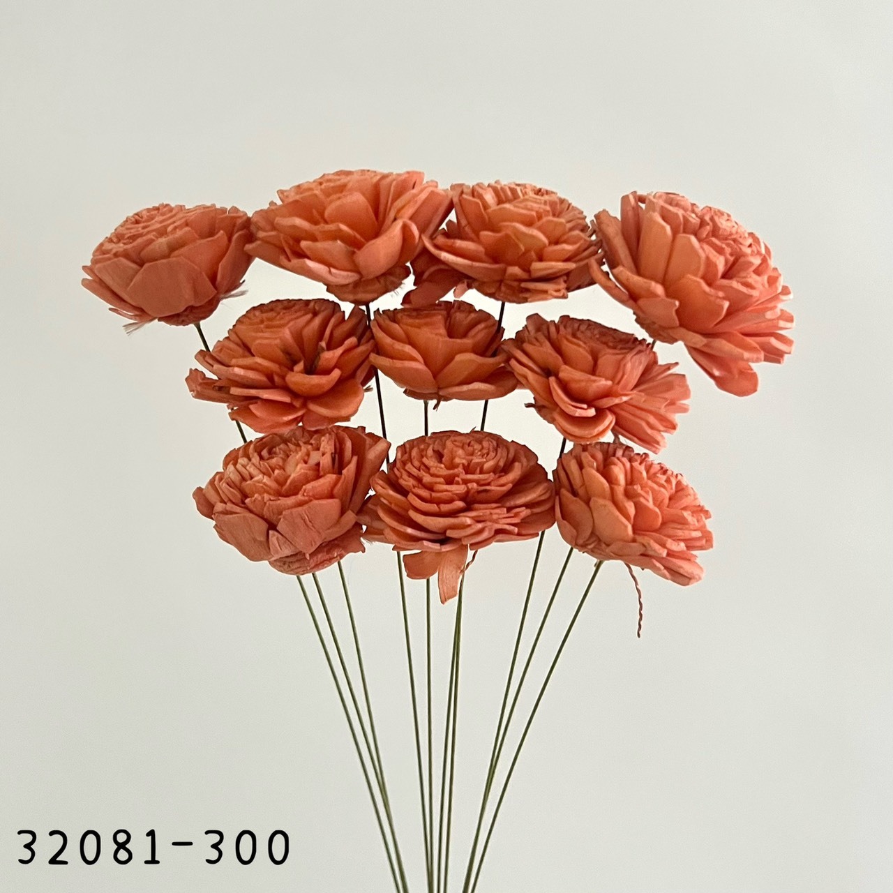 日本索拉玫瑰花 32081-300