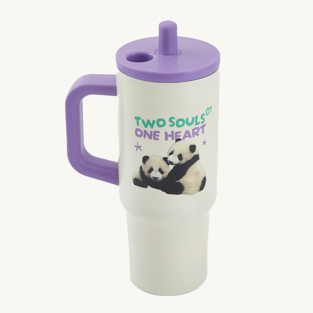 Elder Sister “Jia Jia” & Little Brother “De De” Insulation Tumbler