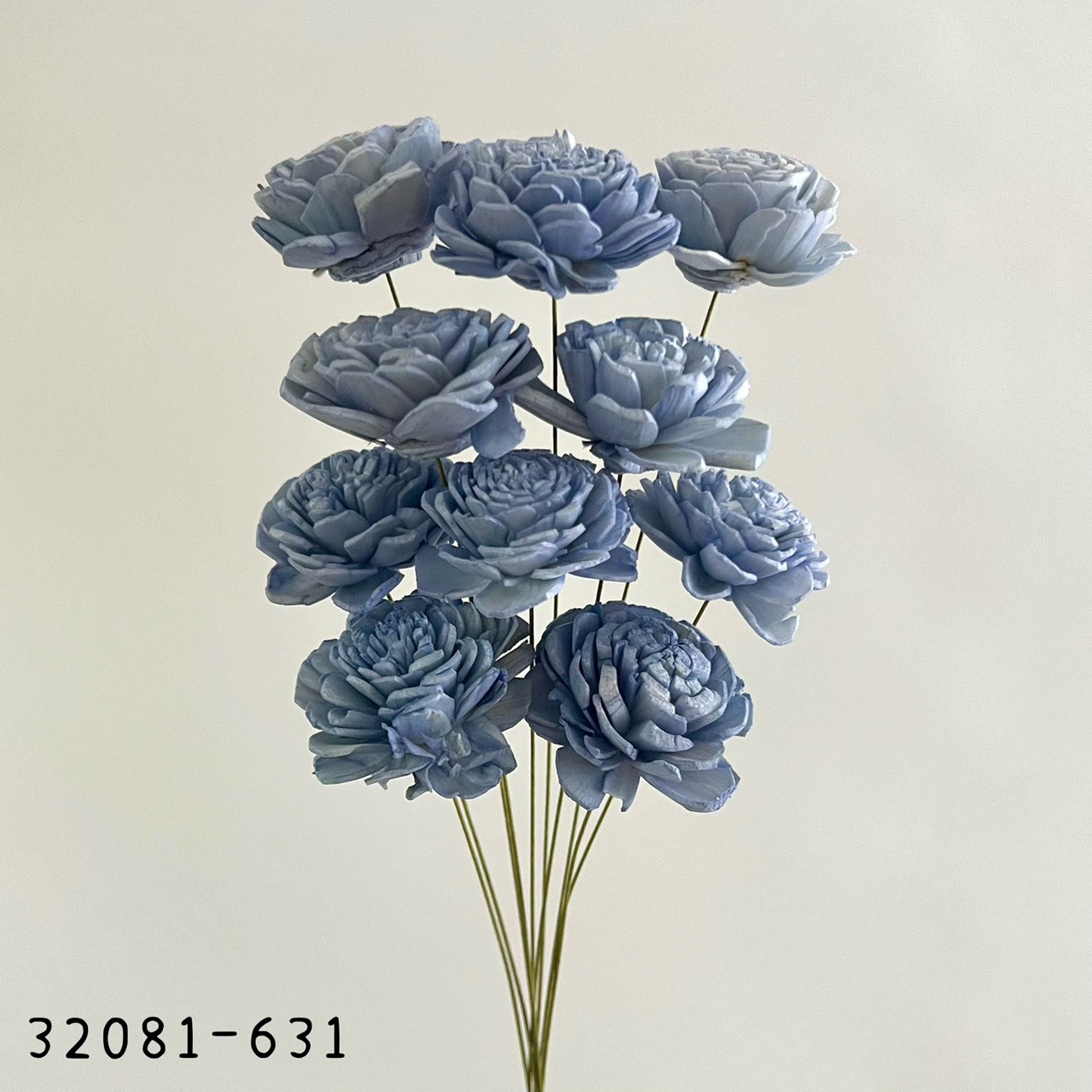 日本索拉玫瑰花 32081-631