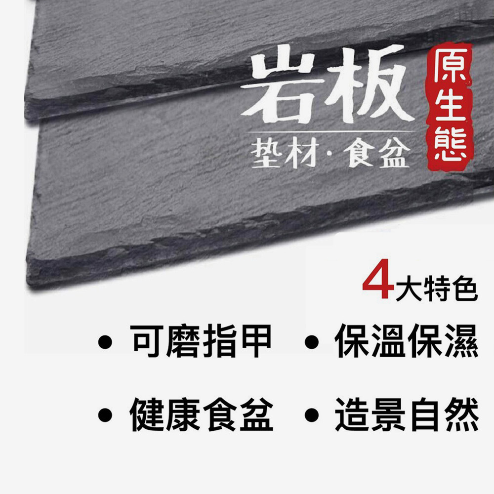 選用天然頁岩，質地細膩，色澤自然，適合打造獨特水族造景