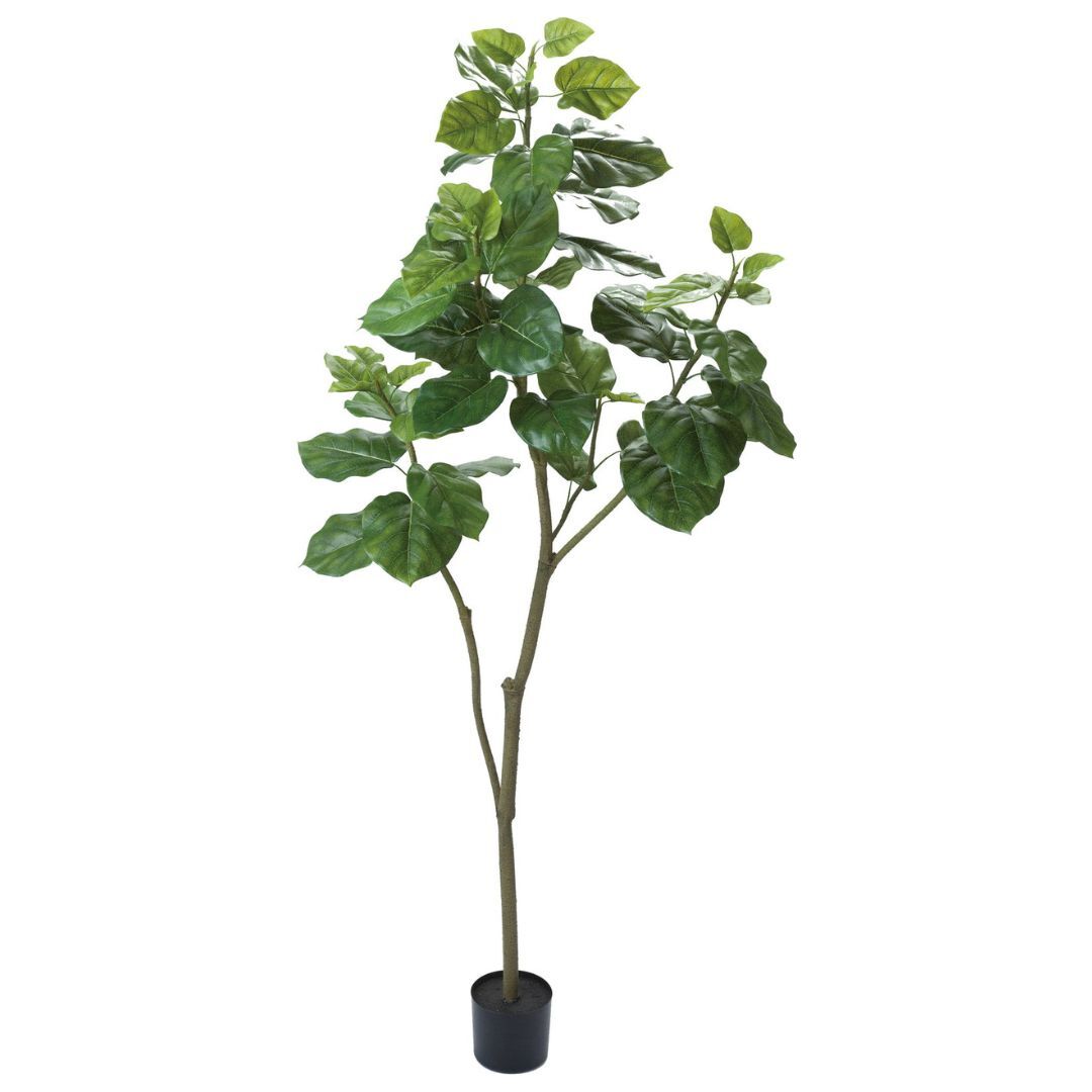 擬真樹 愛心榕 180cm