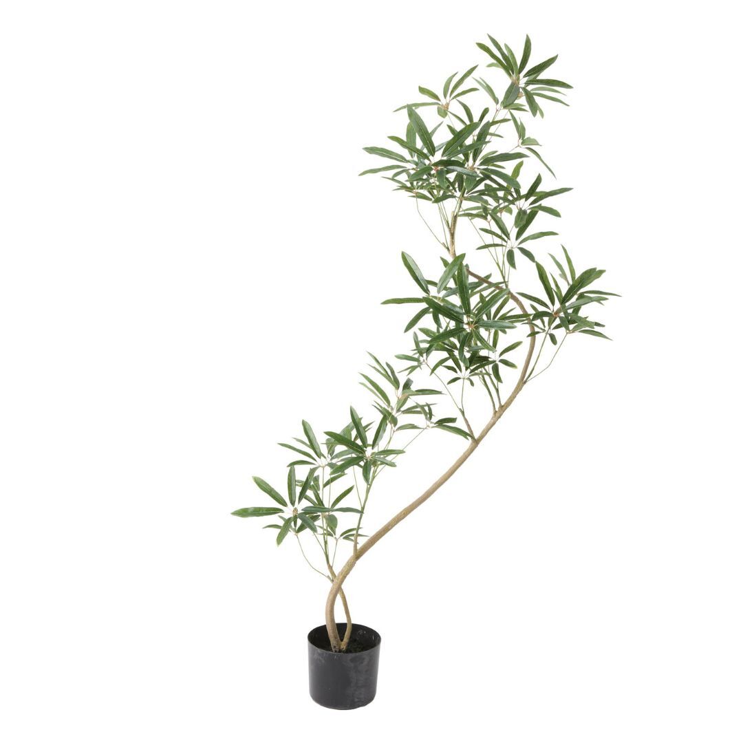 擬真樹 長葉鵝掌藤 130cm