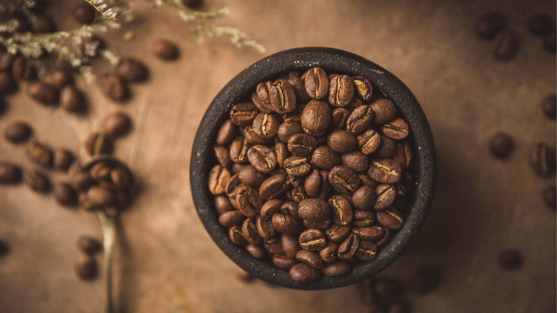 世界咖啡產地 中南美洲咖啡豆推薦 衣索比亞咖啡風味特色 哥倫比亞咖啡豆介紹 肯亞咖啡豆風味 印尼曼特寧咖啡產地 巴拿馬藝伎咖啡產區 瓜地馬拉安提瓜咖啡 夏威夷科納咖啡介紹 不同咖啡產地風味比較