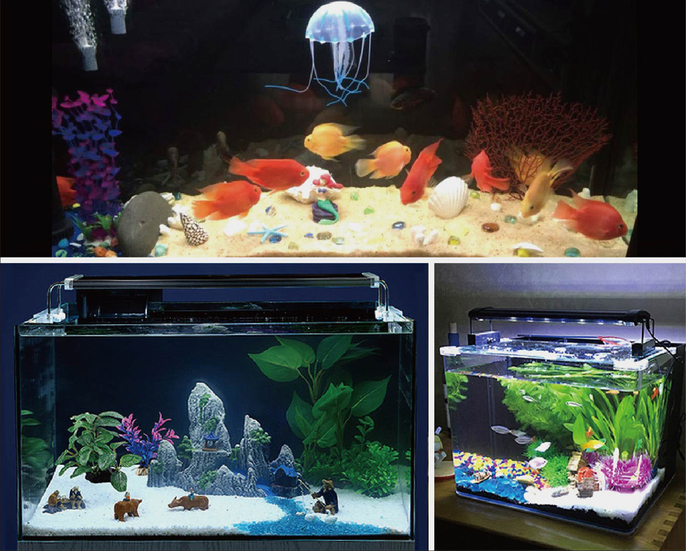 本產品採用高品質玻璃材質製成，無毒無害，對水族生物安全無虞