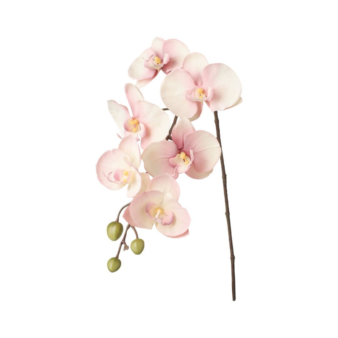 人造花 漸層蝴蝶蘭 2色