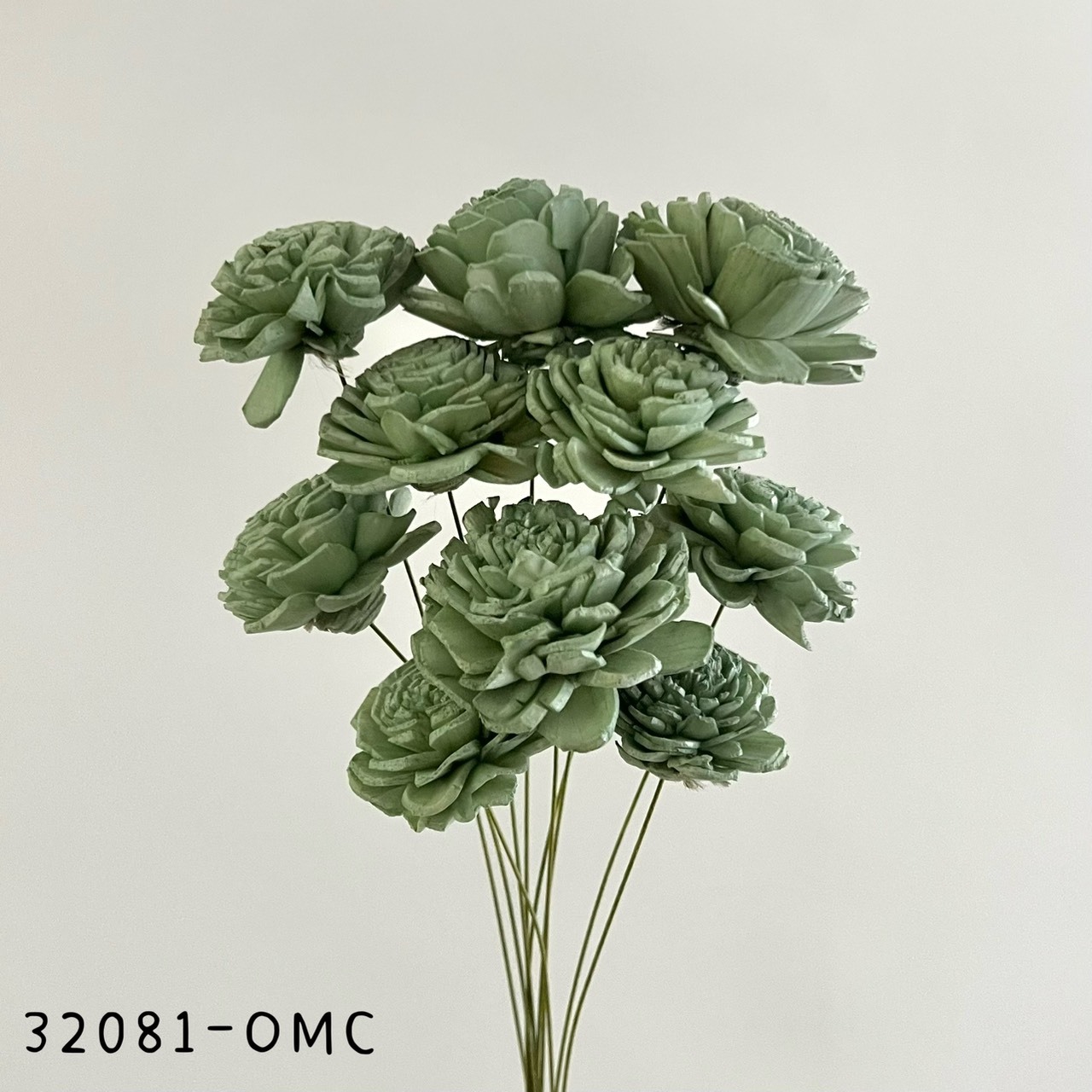 日本索拉玫瑰花 32081-OMC