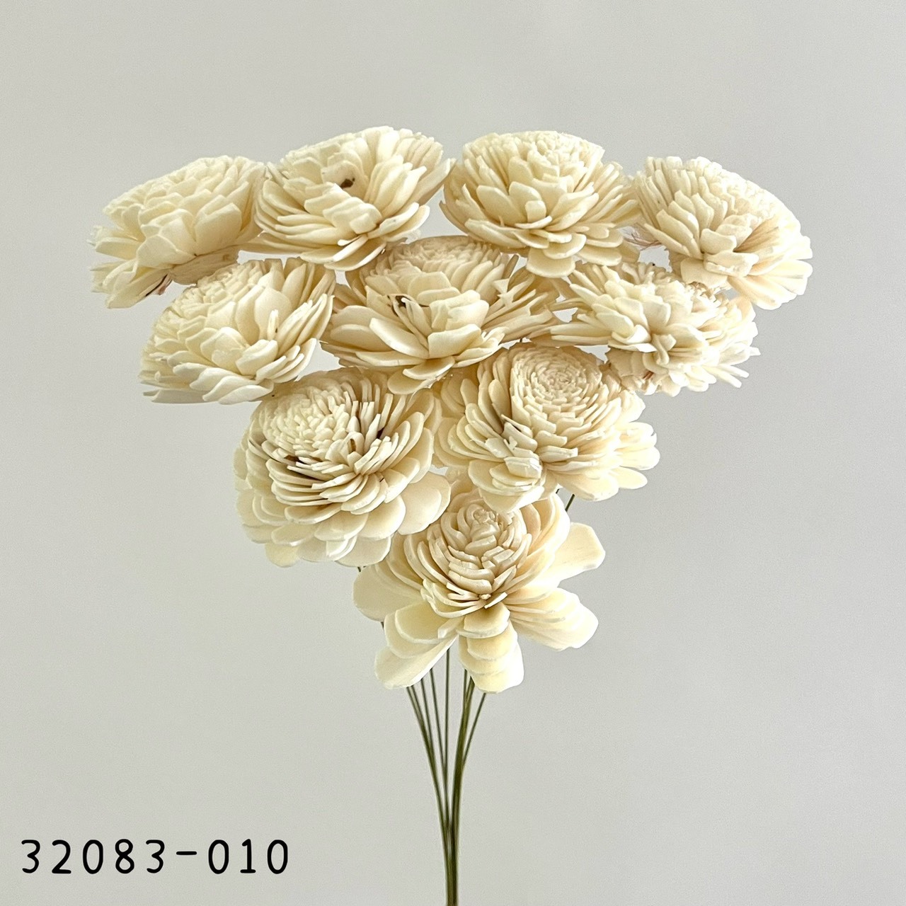 日本索拉玫瑰花(6cm) 32083-010