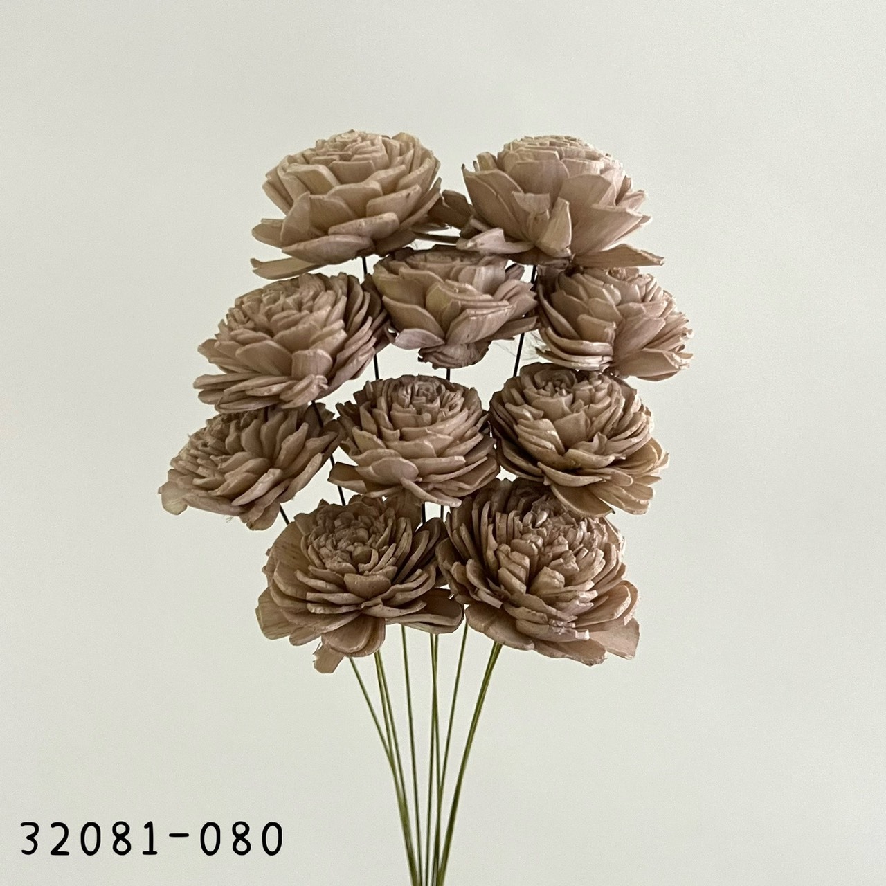 日本索拉玫瑰花(4cm) 32081-080