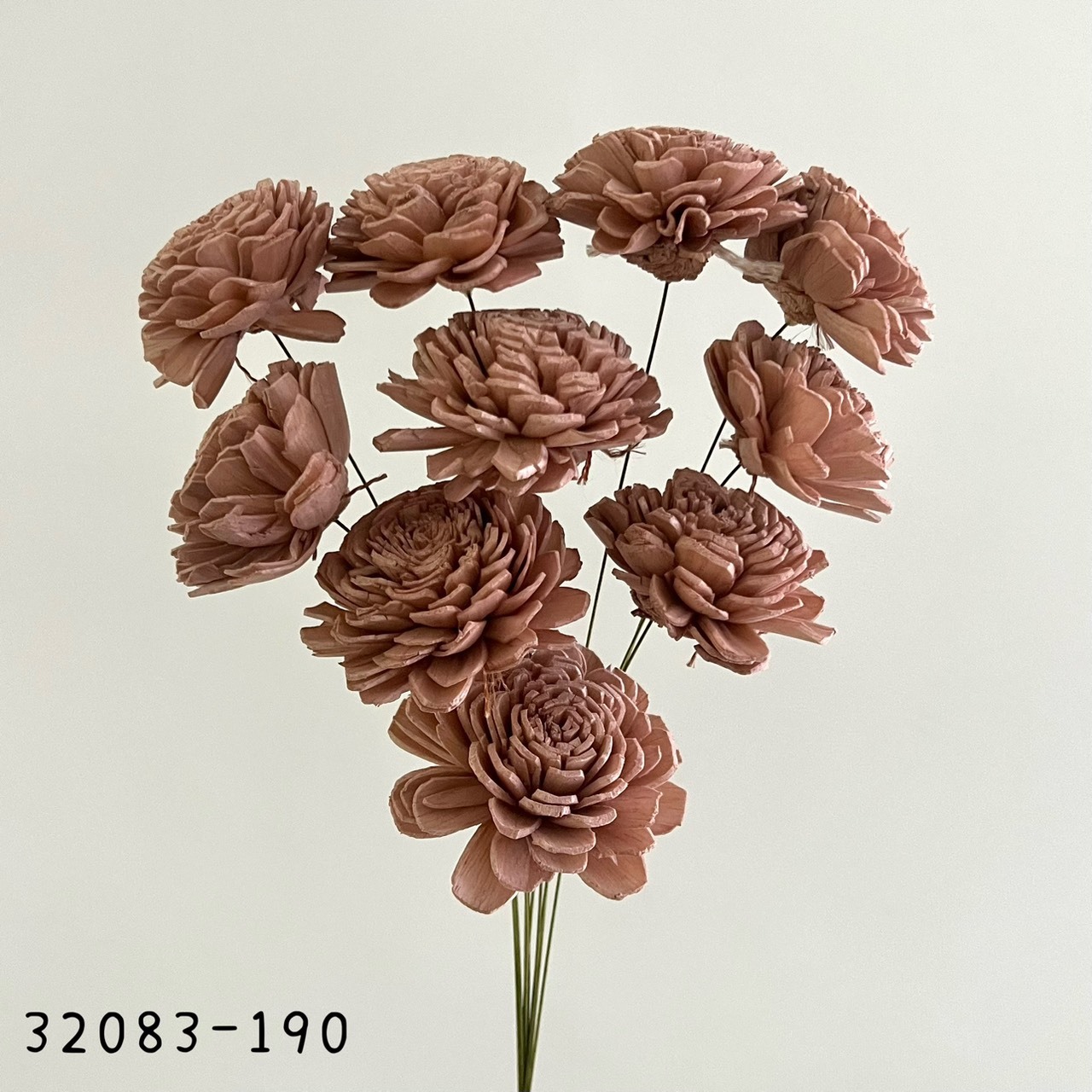 日本索拉玫瑰花(6cm) 32083-190