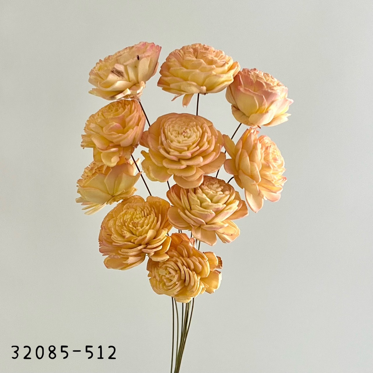 日本索拉玫瑰花32085-512