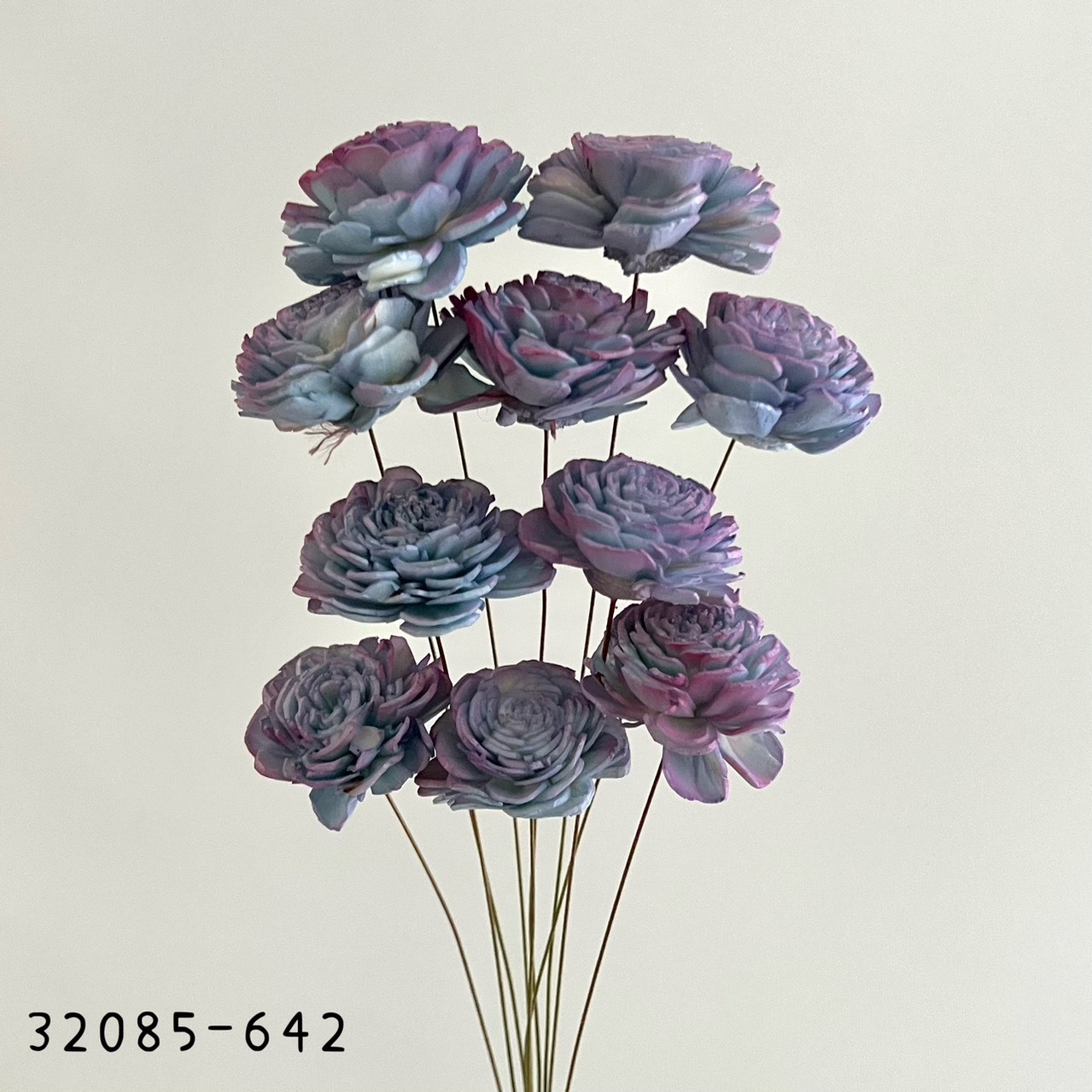 日本索拉玫瑰花32085-642