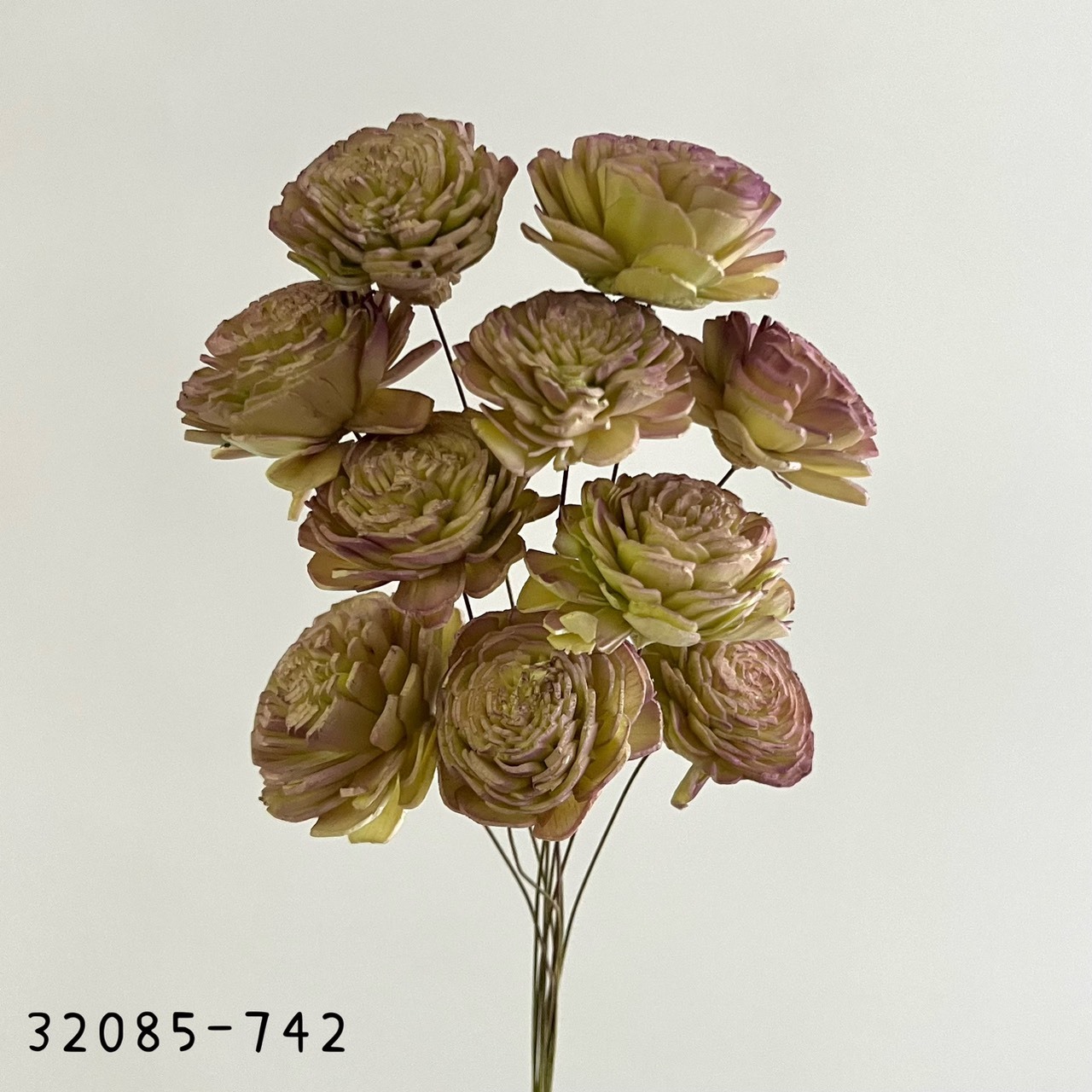 日本索拉玫瑰花32085-742