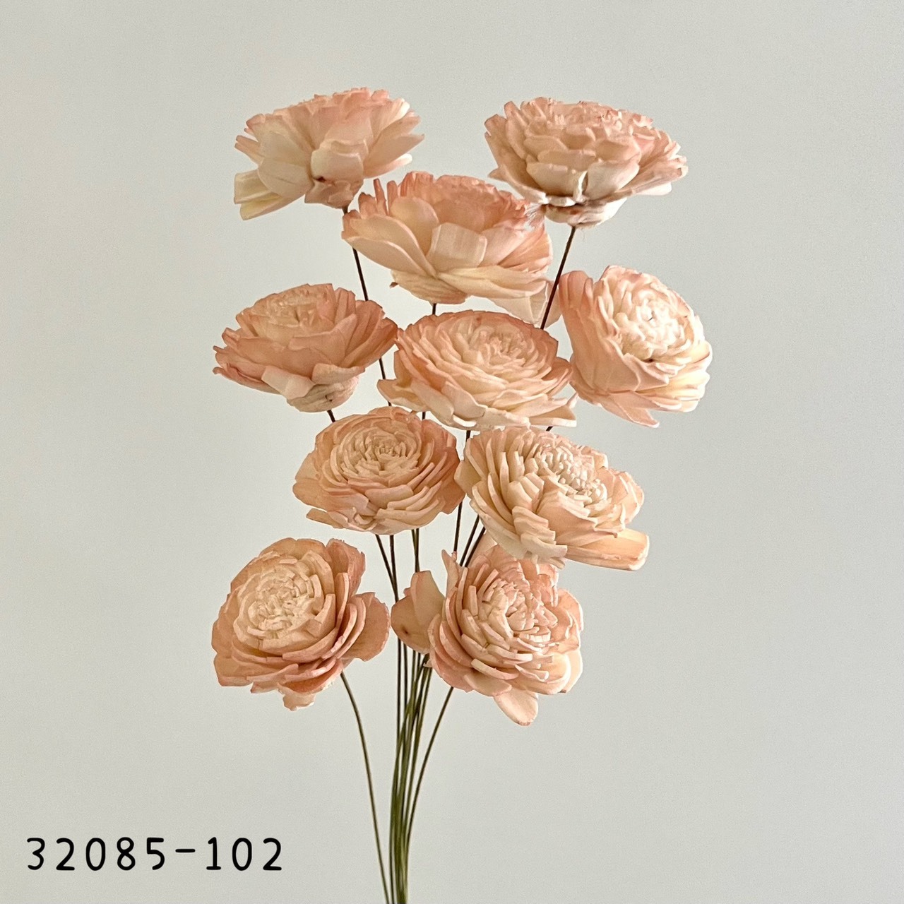 日本索拉玫瑰花32085-102