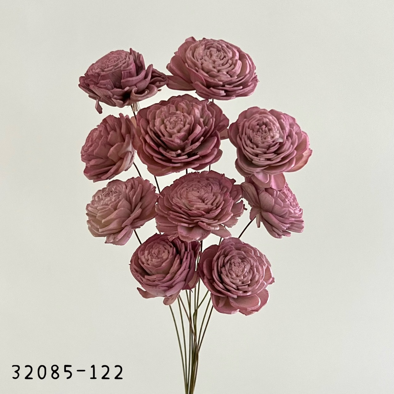 日本索拉玫瑰花32085-122