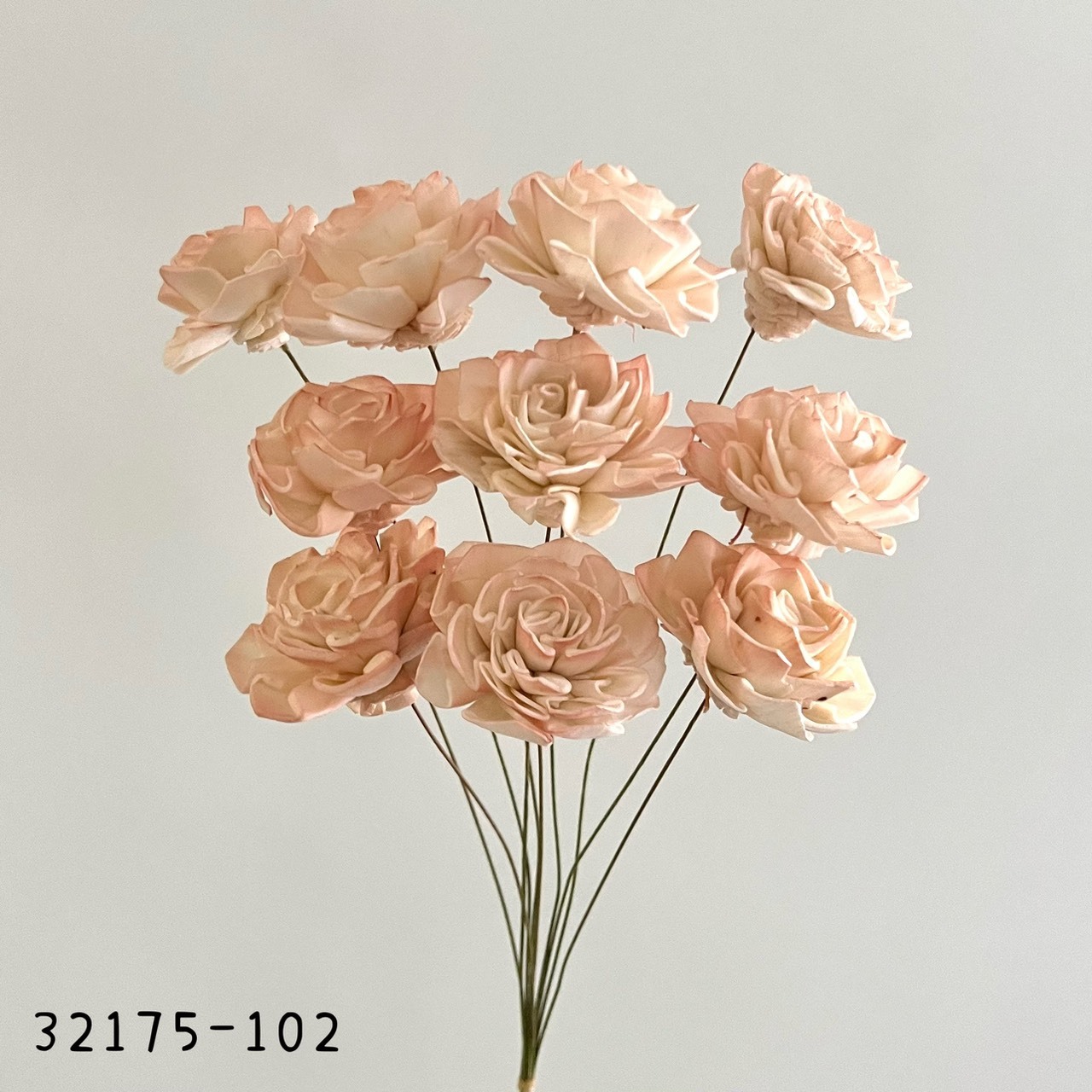 日本索拉漸層大理花 32715-102