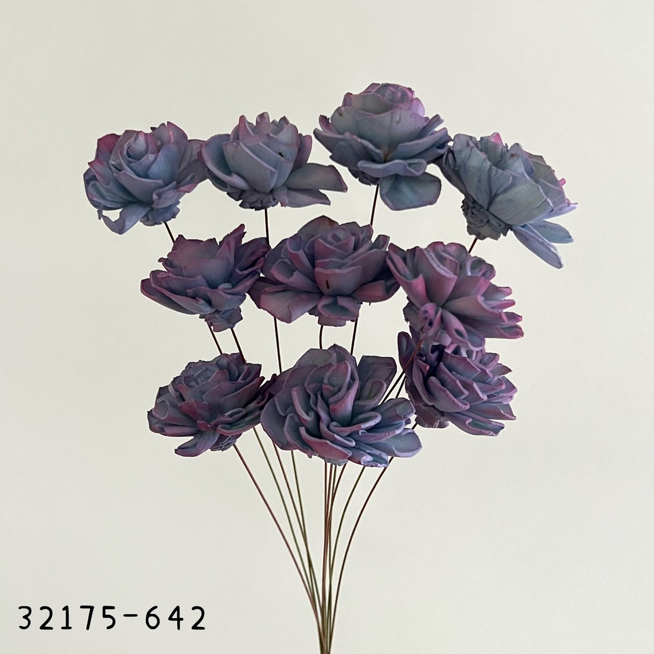 日本索拉漸層大理花 32715-642