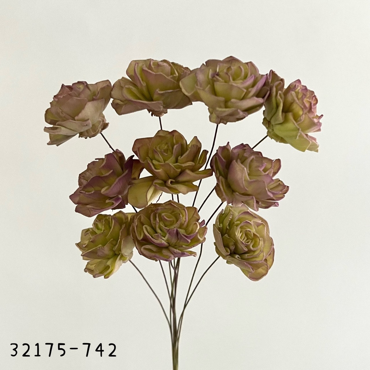 日本索拉漸層大理花 32715-742