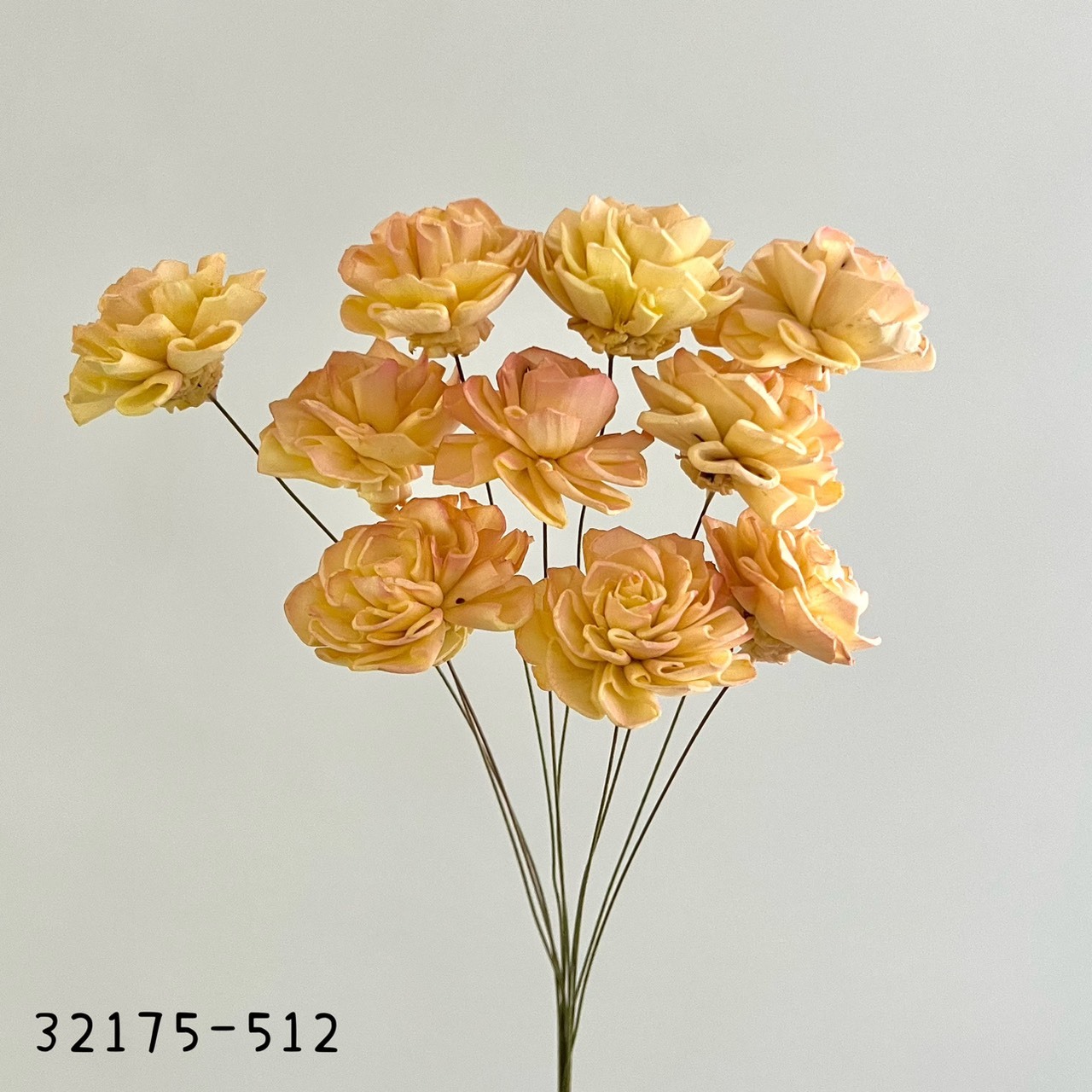 日本索拉漸層大理花 32715-512