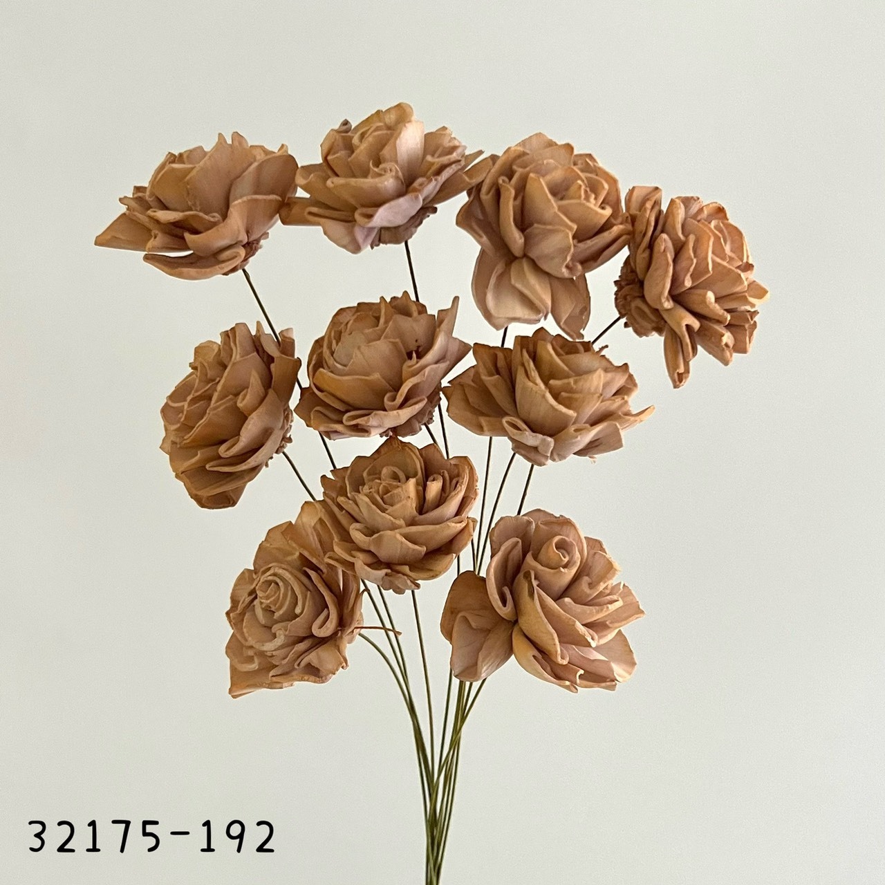 日本索拉漸層大理花 32715-192