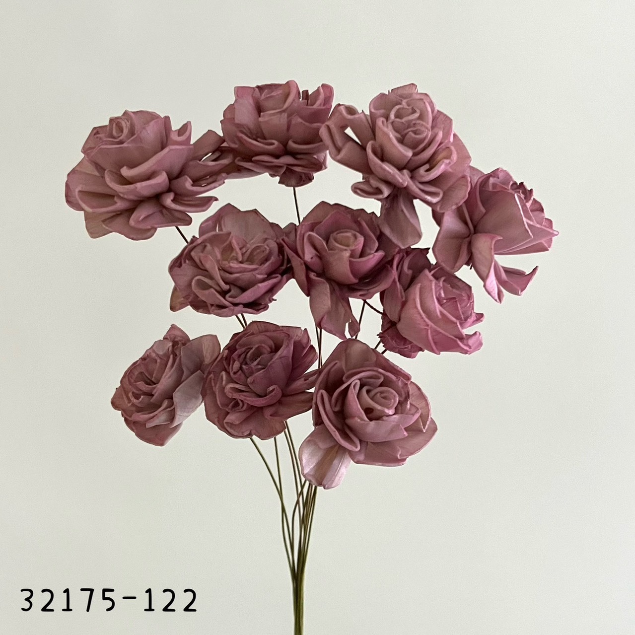 日本索拉漸層大理花 32715-122