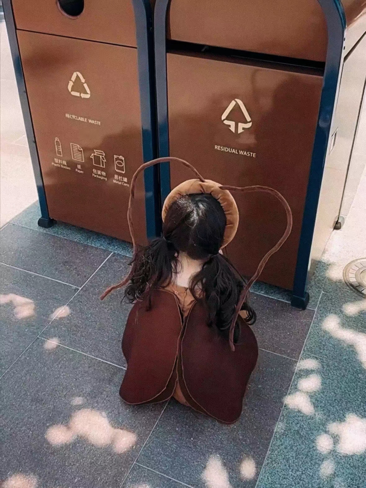 cockroach family set