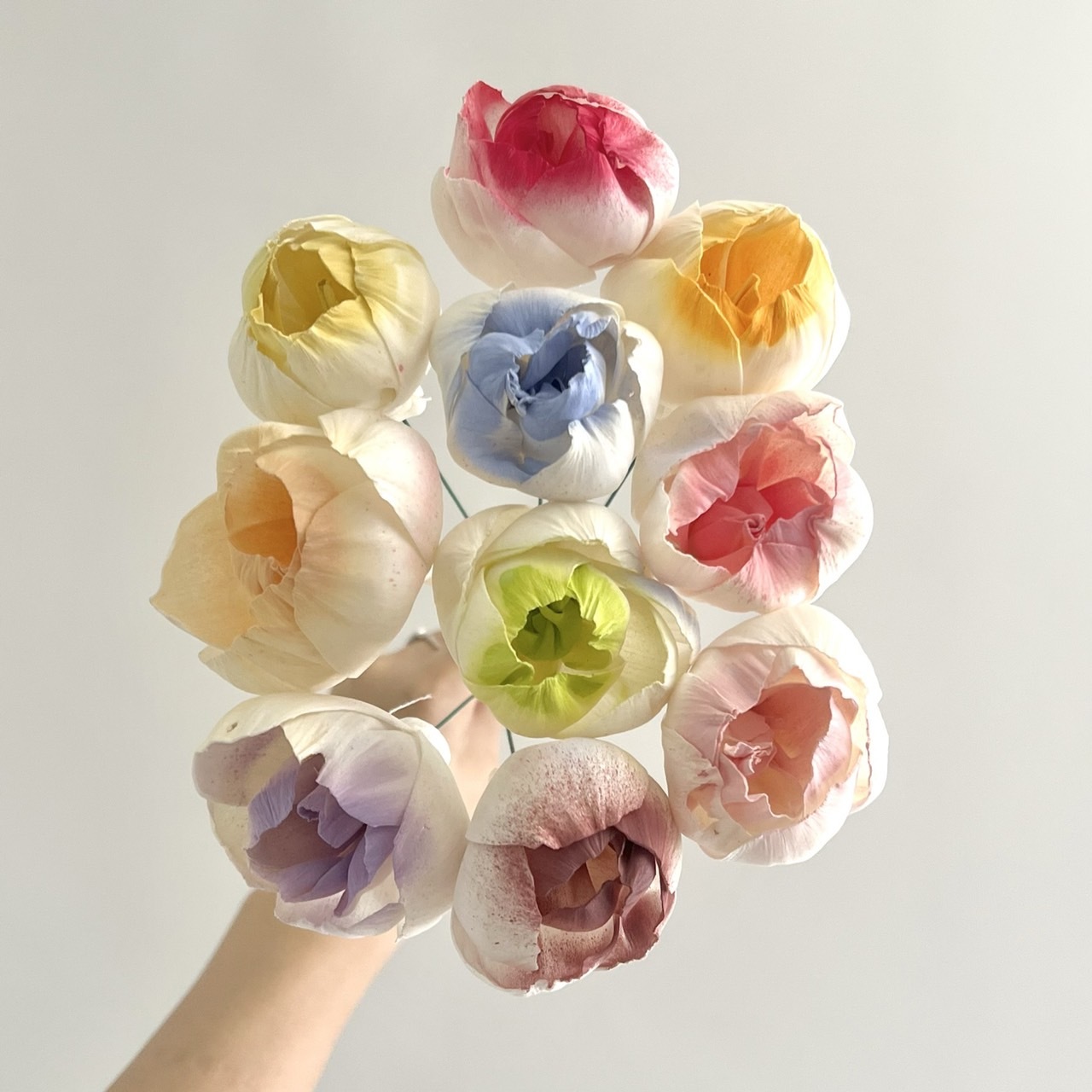 越南索拉花 含苞牡丹 4CM<十支一把>