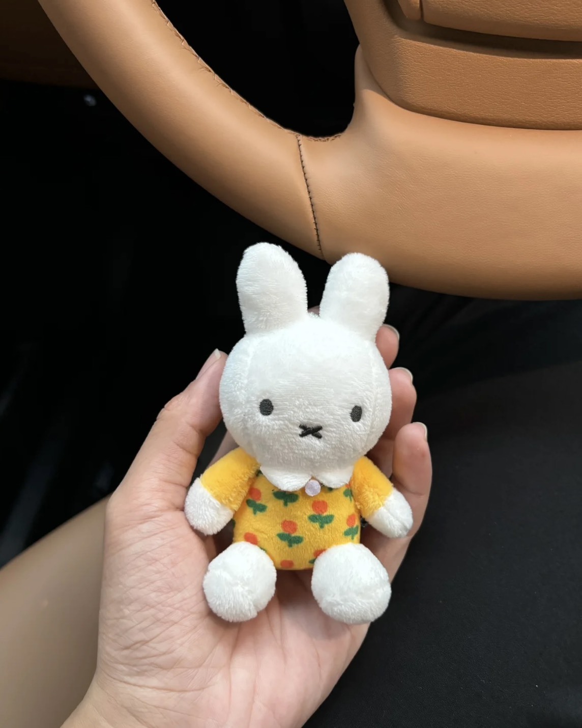 <烤焦了🤎> Miffy 米菲兔與好朋友 吊飾 多款