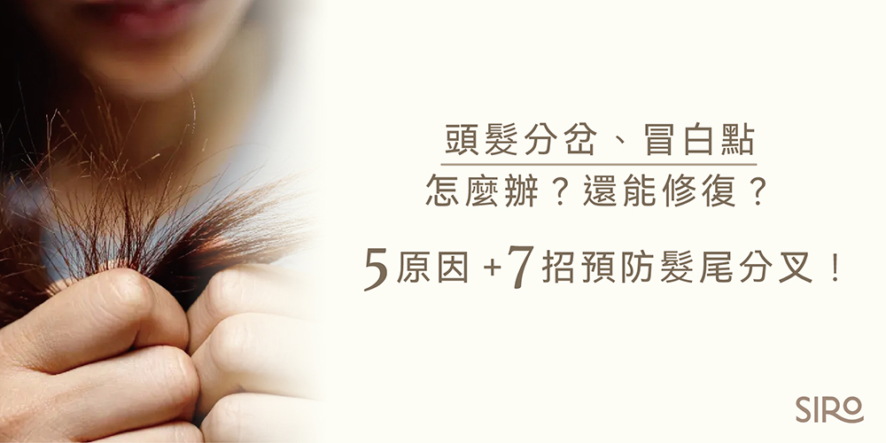 頭髮分岔、冒白點怎麼辦？還能修復？5原因＋7招預防髮尾分叉！