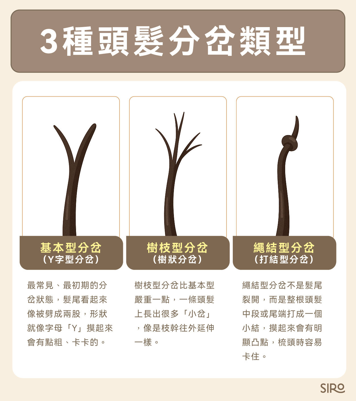 3種頭髮分岔類型