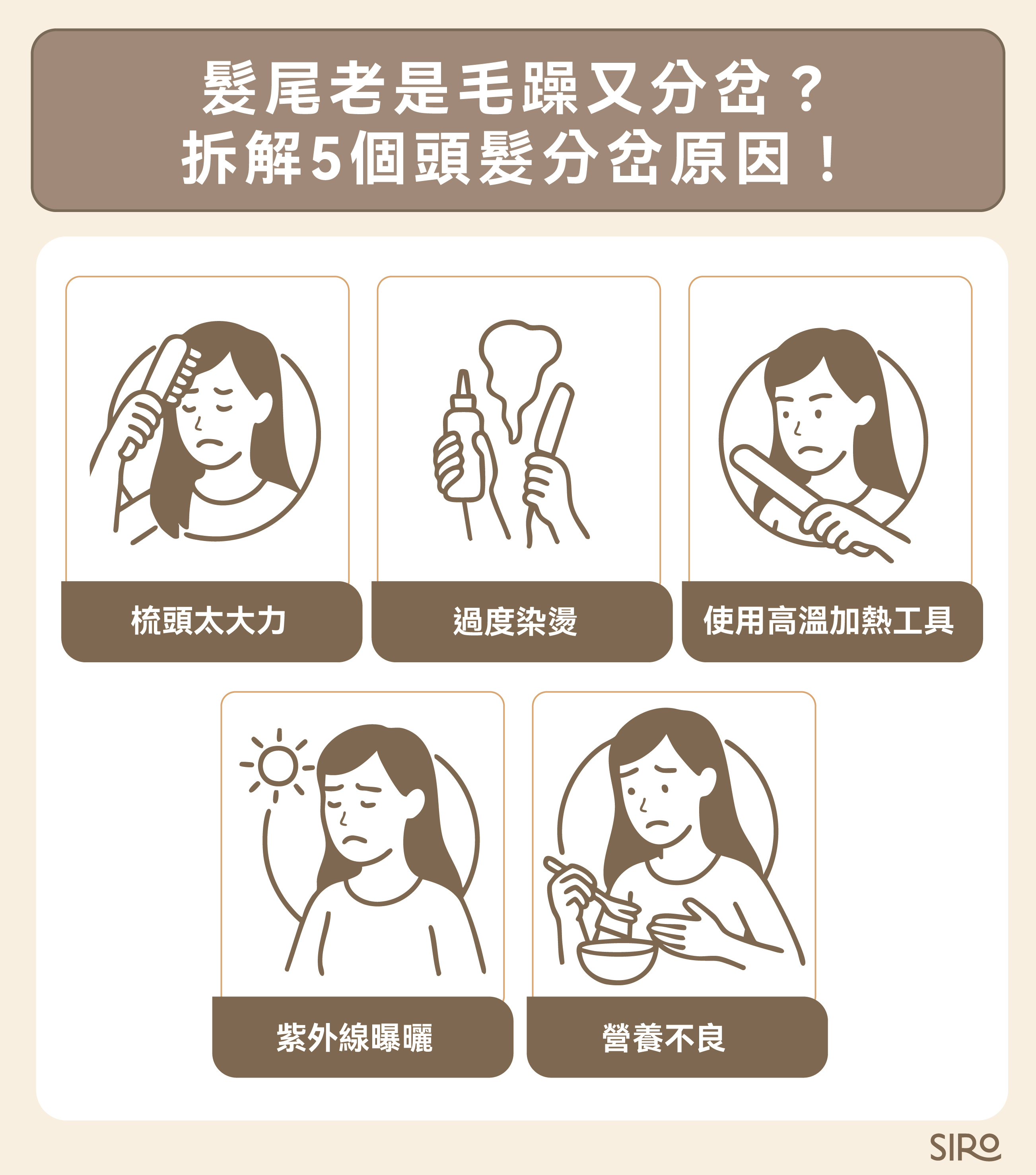 5個頭髮分岔原因