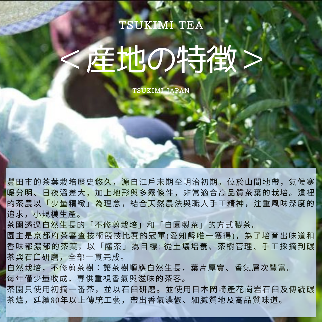 日本 愛知縣豐田 焙茶歐蕾 (甜焙茶粉) 【綠茶 / 愛知縣產茶】農家產地直送