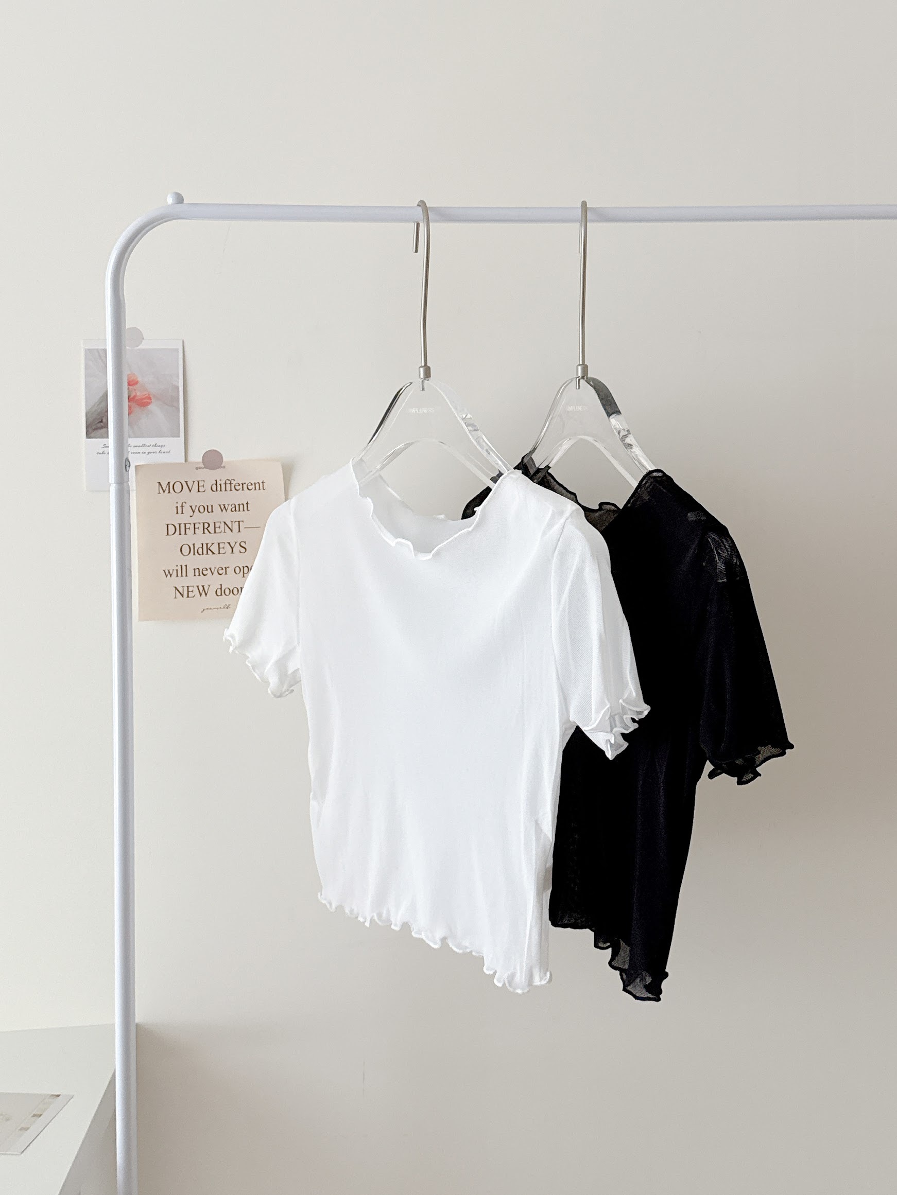 現貨🚚小心機透膚短袖上衣🫣💕共2色