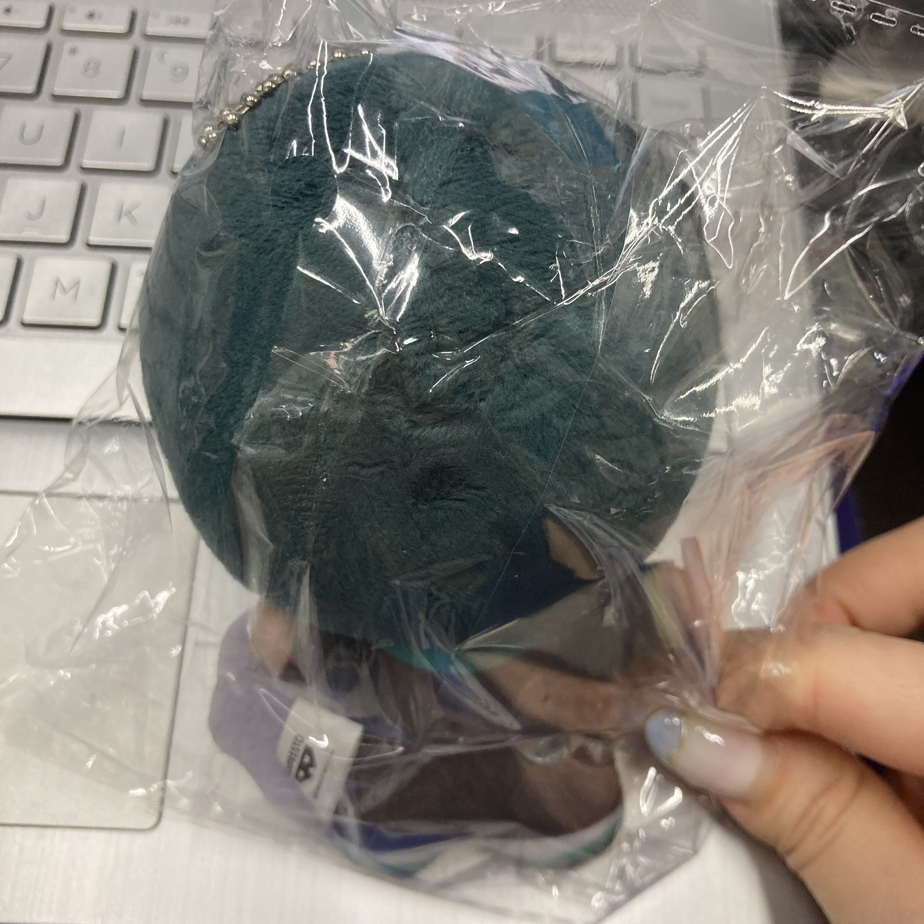 BlueLock   凜 公仔#262