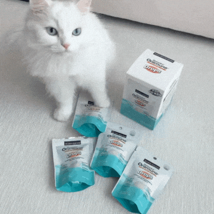 StomoAct®Oramune 潔牙保健咀嚼粒 17.5g x 4袋