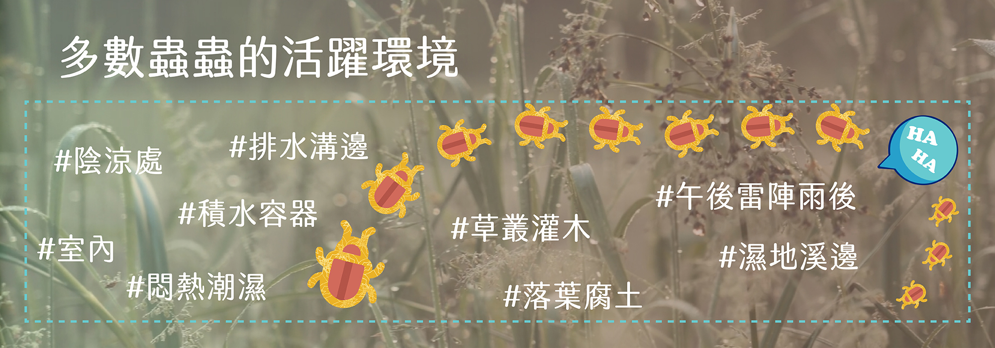 害蟲出沒地點,害蟲常見環境,蚊子喜歡的地方,室內常見害蟲,居家蟲害防治,where do cockroaches hide in house,where do mosquitoes live,where do bugs come from,where do pests hide,signs of pest infestation