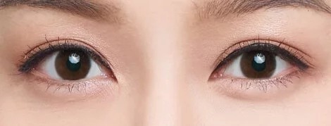 [散光] Delight MAX 1 Day Toric Brown｜日拋彩妝散光隱形眼鏡｜每盒30片