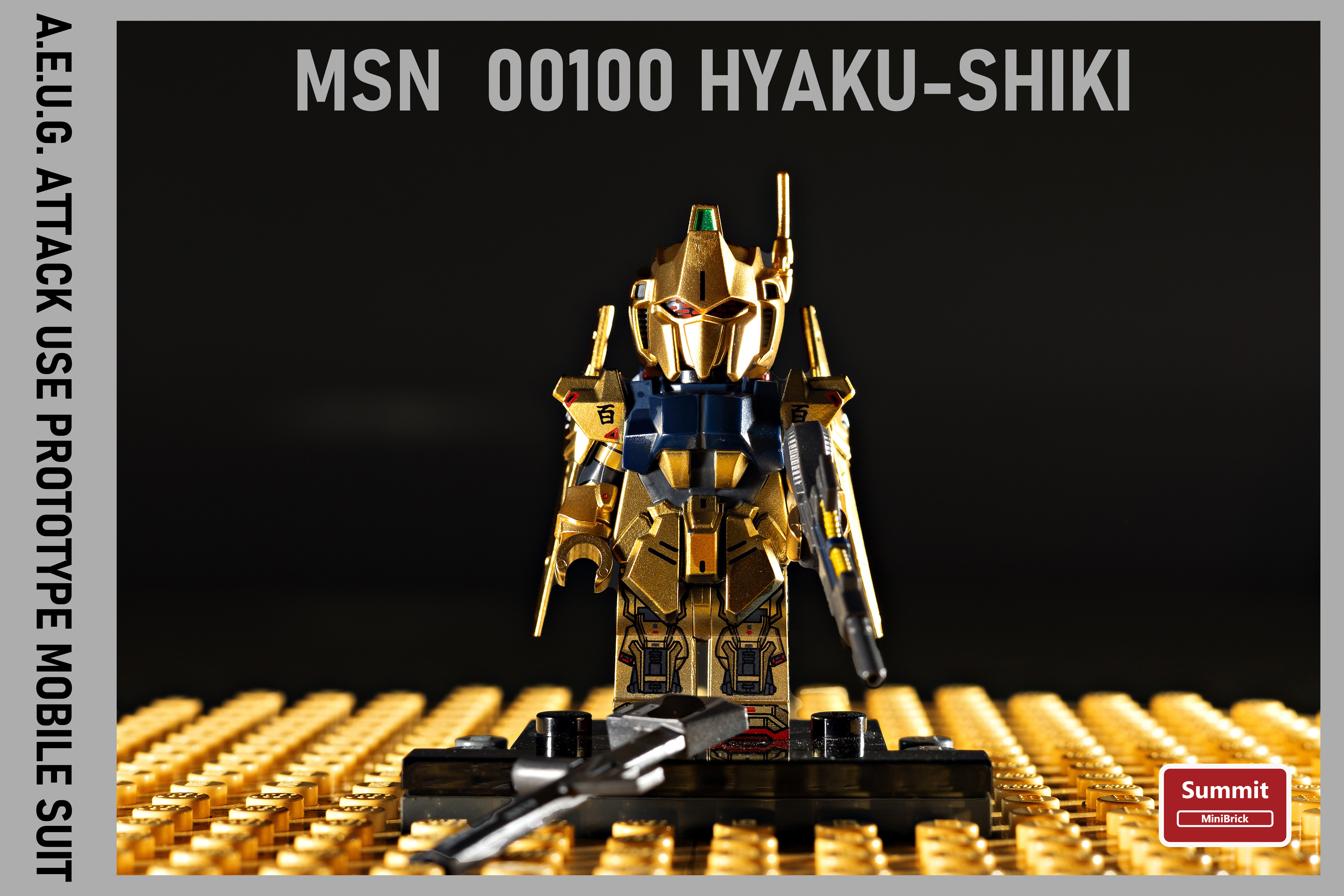 【Top Mountain】MSN 00100 HYAKU-SHIKI