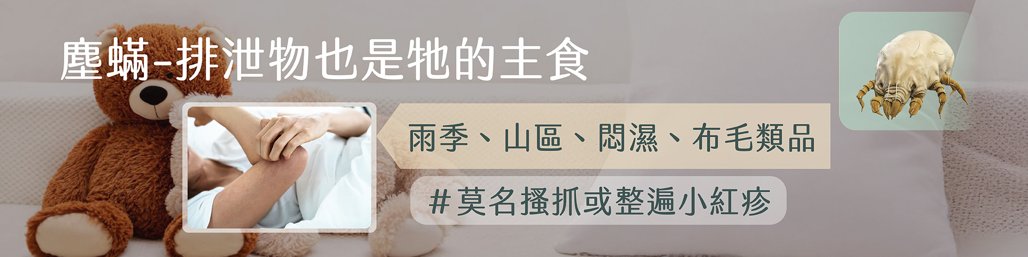 塵蟎,塵蟎過敏塵蟎怎麼清除,塵蟎排泄物,	塵蟎吃什麼,dust mites,dust mite allergy,dust mite removal / get rid,dust mites in mattress / pillow,dust mite vacuum