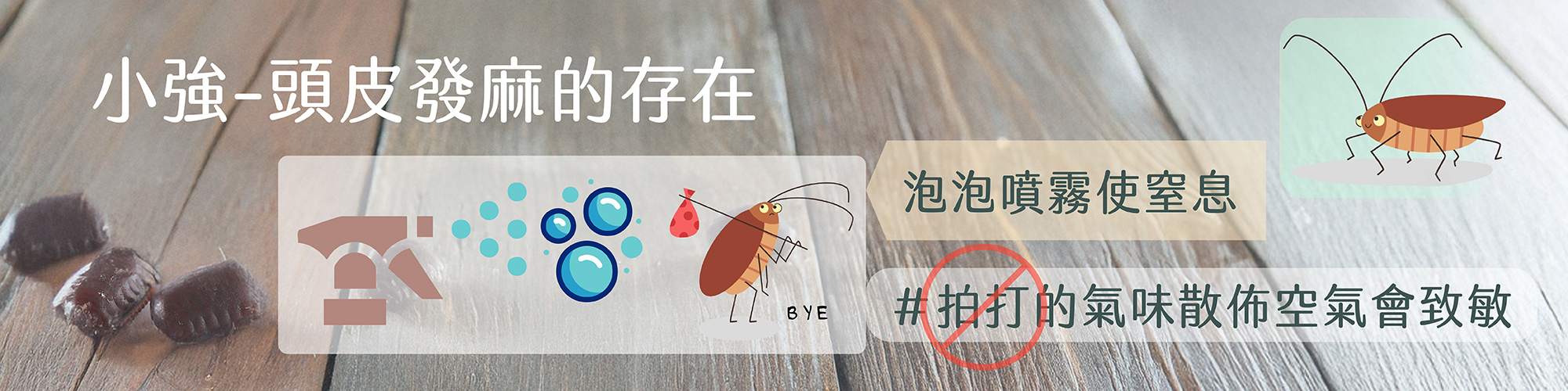 蟑螂,蟑螂飛,蟑螂怎麼殺,蟑螂蛋,蟑螂咬人,小強怕什麼,cockroach,cockroach infestation,how to get rid of roaches