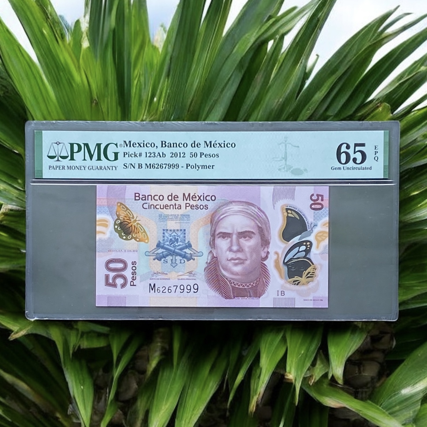 2012 Mexico Bank 50 Pesos (PMG 65) M6267999 Leopard Number
