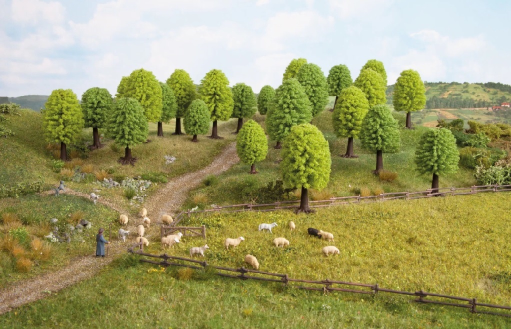 Noch 32801 N/Z 規 落葉樹