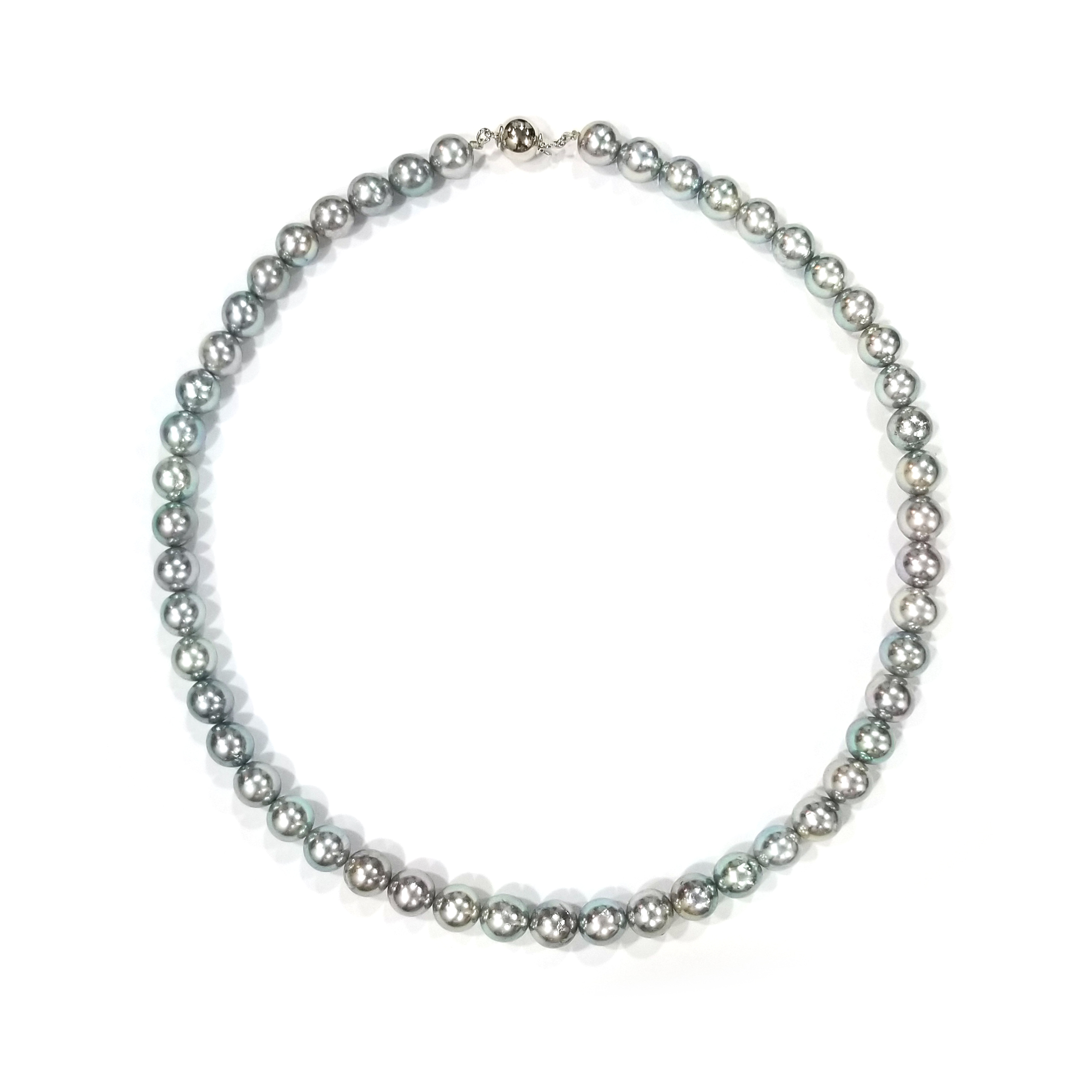 925銀扣灰真科研Akoya珍珠頸鏈