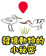 發現動物的小秘密
