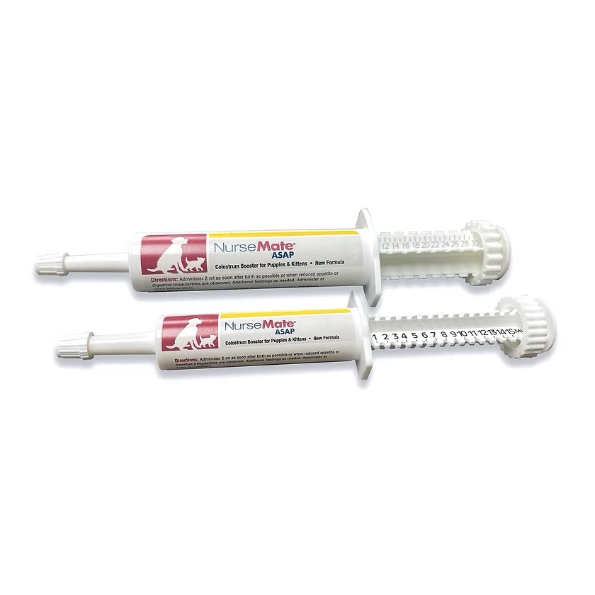 NurseMate 金裝奶滋味營養膏