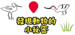 發現動物的小秘密